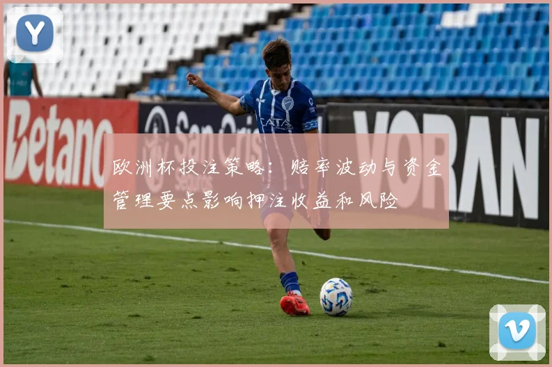 欧洲杯投注策略：赔率波动与资金管理要点影响押注收益和风险