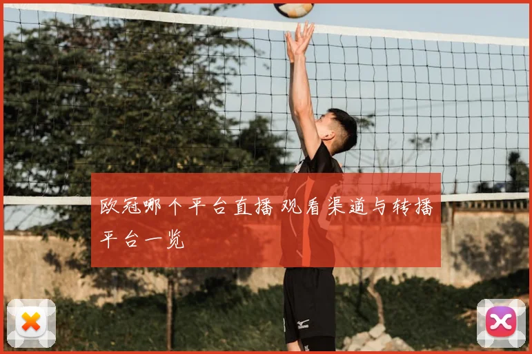 欧冠哪个平台直播 观看渠道与转播平台一览