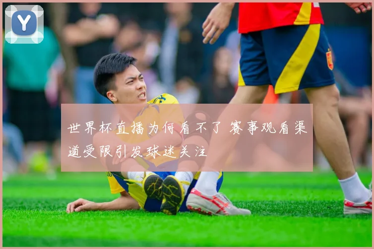 世界杯直播为何看不了 赛事观看渠道受限引发球迷关注
