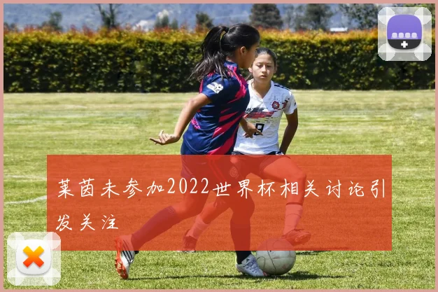 莱茵未参加2022世界杯相关讨论引发关注