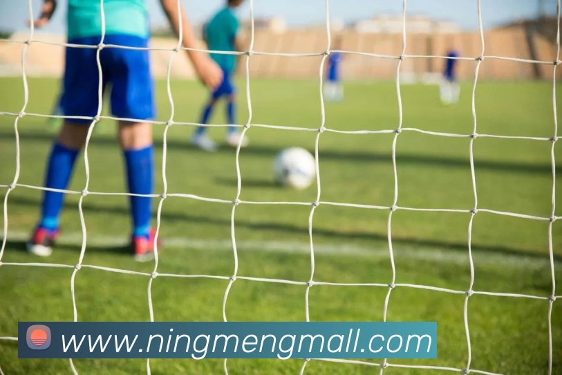 米兰网页版登录入口APP 体育赛事宣传图